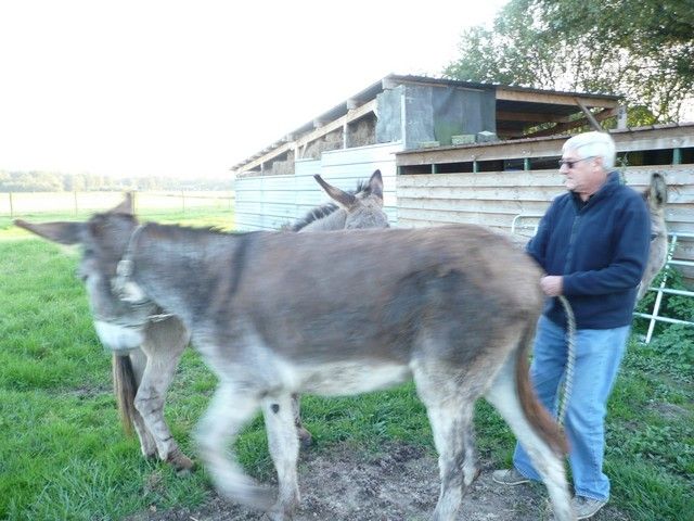 Balthazar et leonard Arrivee (18).jpg